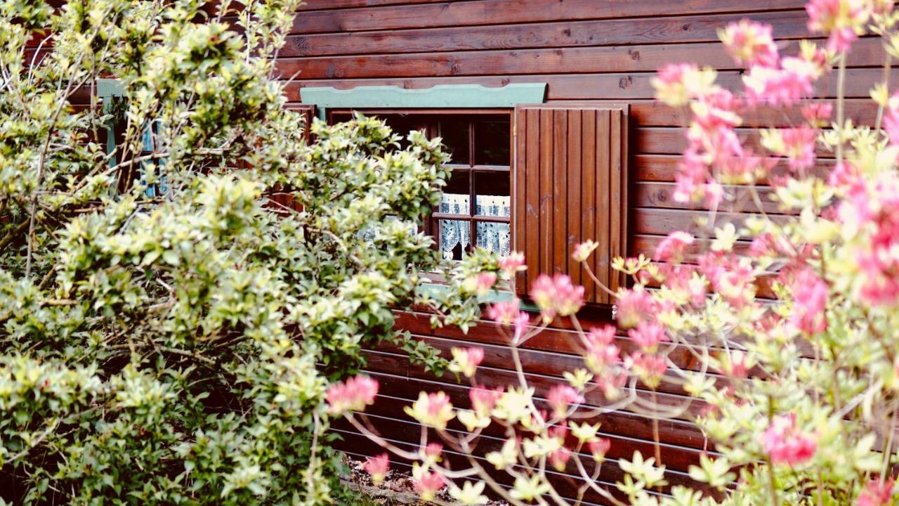 Forsthaus Luchsenburg Ξενοδοχείο Ohorn Εξωτερικό φωτογραφία